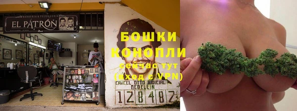 метадон Лагань