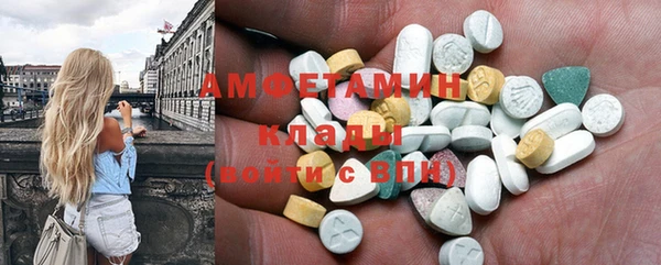 метадон Алексин