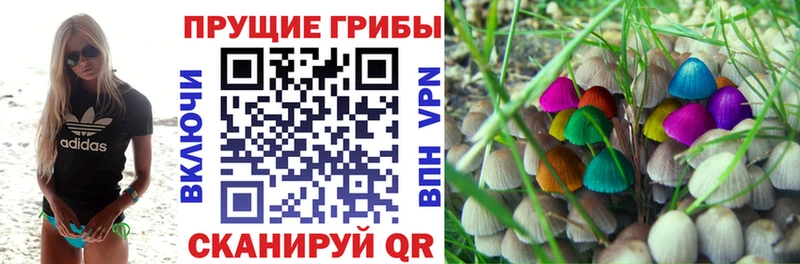 магазин    Алатырь  Галлюциногенные грибы мицелий 